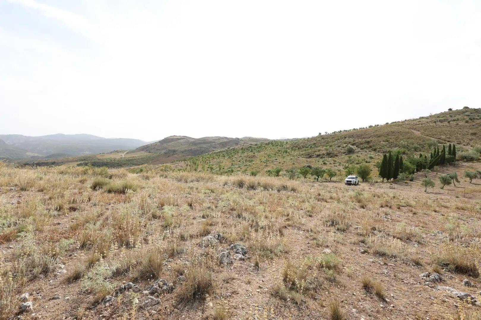 Residencial en venta en Darro