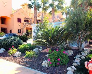 Jardí de Apartament de lloguer en La Manga del Mar Menor amb Terrassa i Piscina comunitària