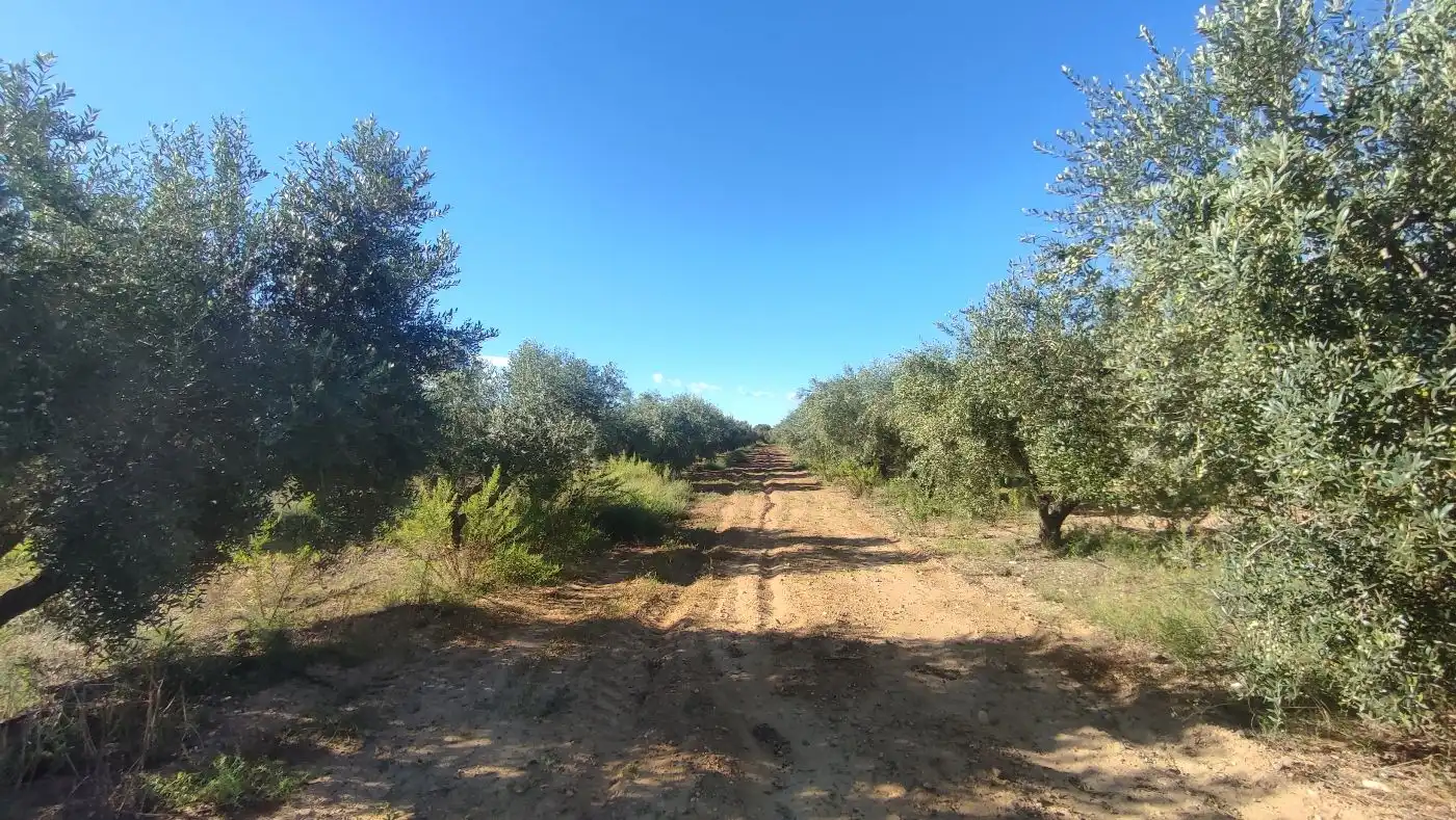 Finca rústica en venda en Constantí amb Jardí privat, Terrassa i Moblat