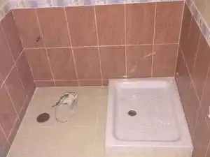 Bathroom of Houses for sale in Buitrago del Lozoya