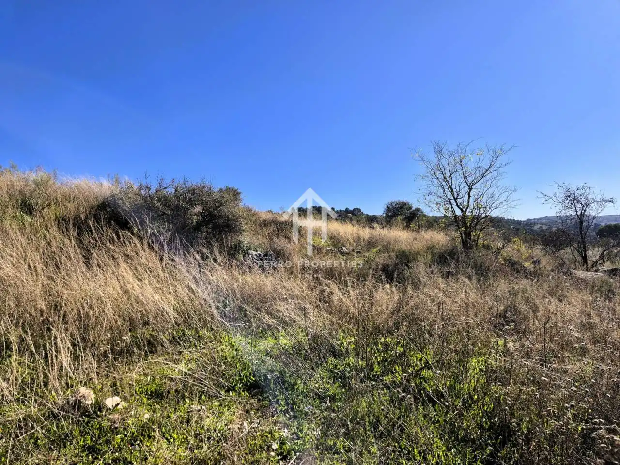 Terreni e lotti in vendita a Alhama de Granada, imagen 11