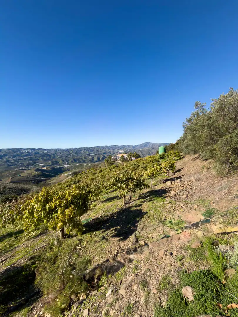 Vista exterior de Casa o xalet en venda en Vélez-Málaga amb Piscina