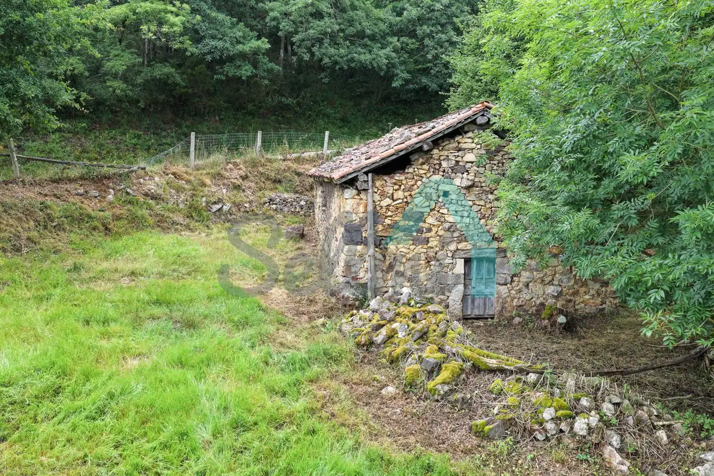 Exterior view of Land for sale in Proaza