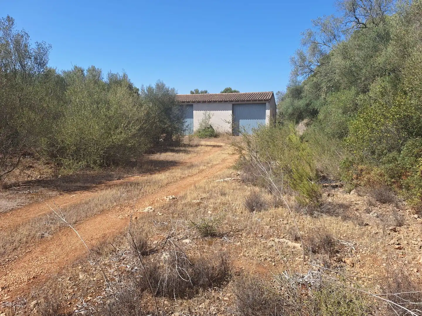 Terreno rustico in vendita a Algaida, imagen 12