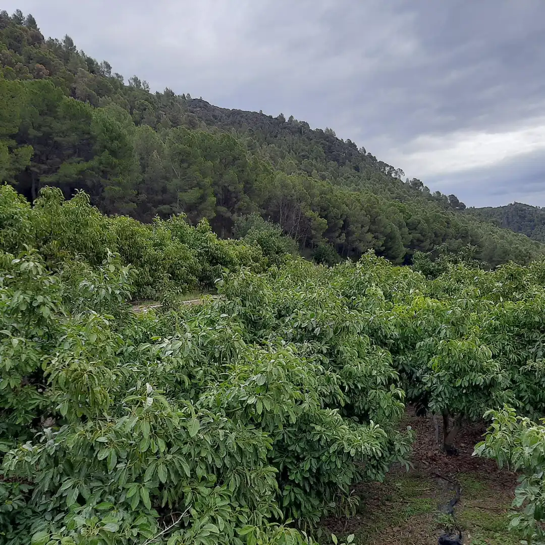 Xalet amb piscina en venda a L'Atzúbia, imagen 28