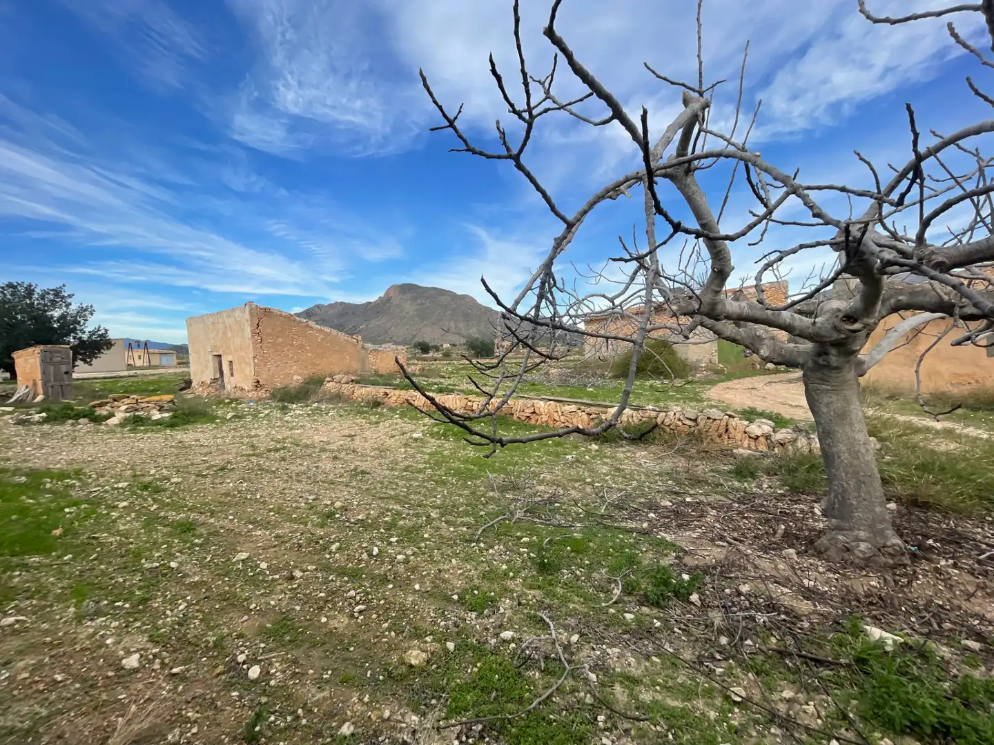 Terreny residencial en venda a Calle Elche.Bar, imagen 5