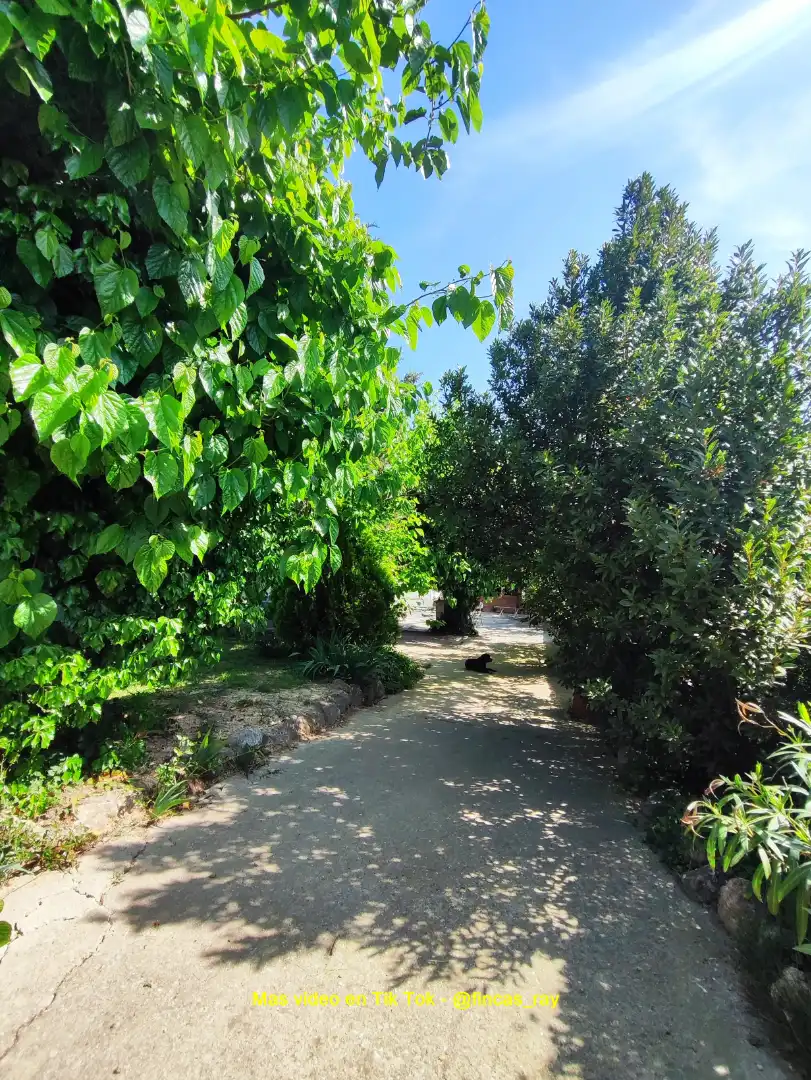 Terreno residenziale in vendita a Torrelles de Foix, imagen 10