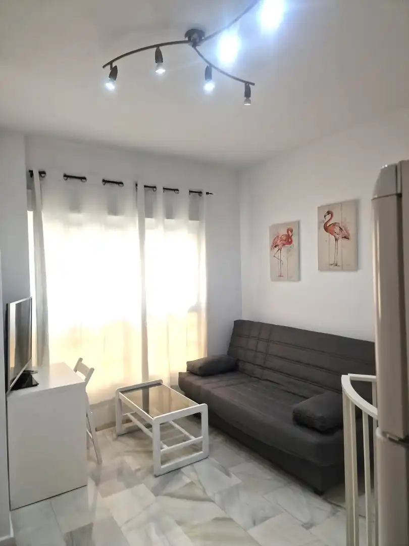 Wohnzimmer von Wohnung zur Miete in Málaga mit Möbliert