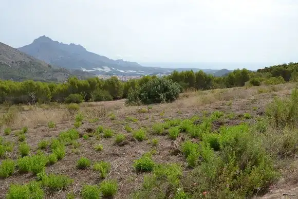 Residential for sale in El Castell de Guadalest