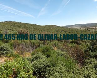 Land for sale in Ciudad Real Capital