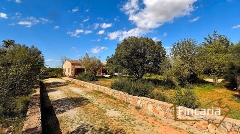 Photo 5 of Country homes for sale in Camí de Son Fangós, Manacor Centre, Manacor