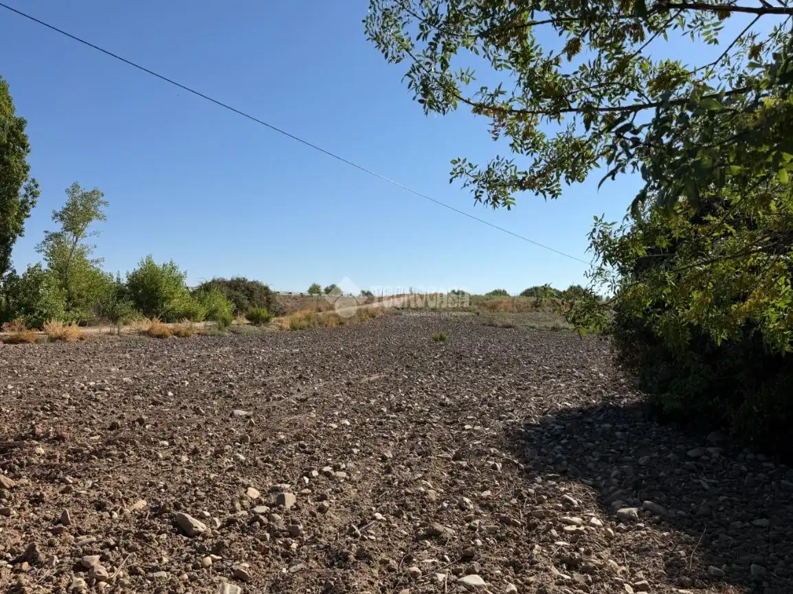 Terreny rústic en venda a Fuente El Saz de Jarama, imagen 16