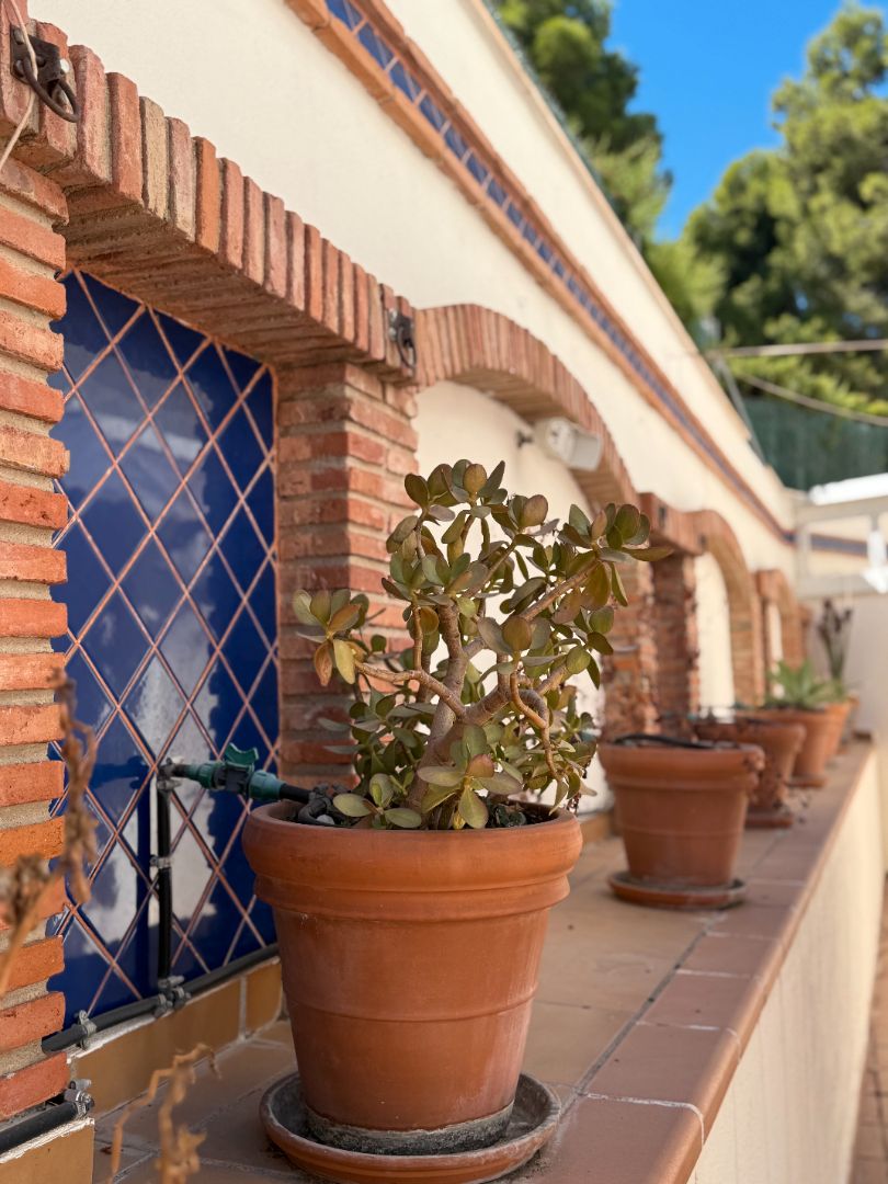Jardí de Pis de lloguer en Torremolinos amb Terrassa, Traster i Forn