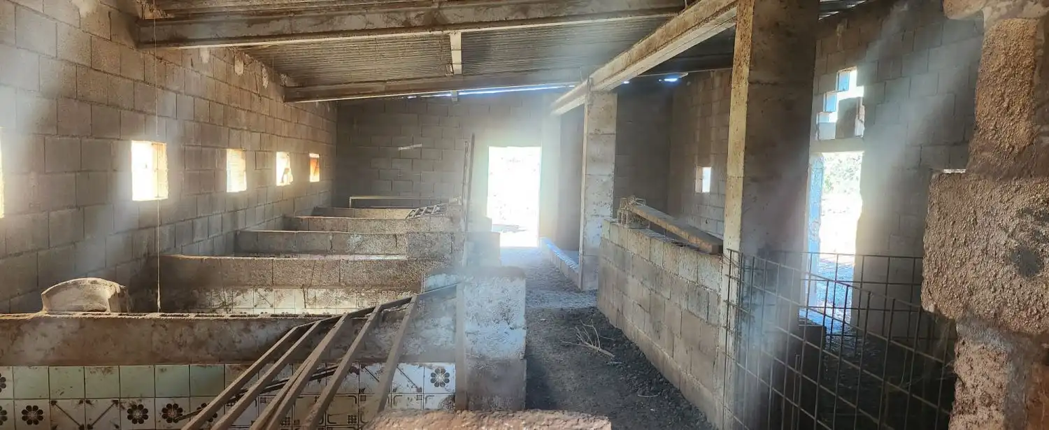 Nau industrial en venda a Carrer de Sineu, 8, Sineu
