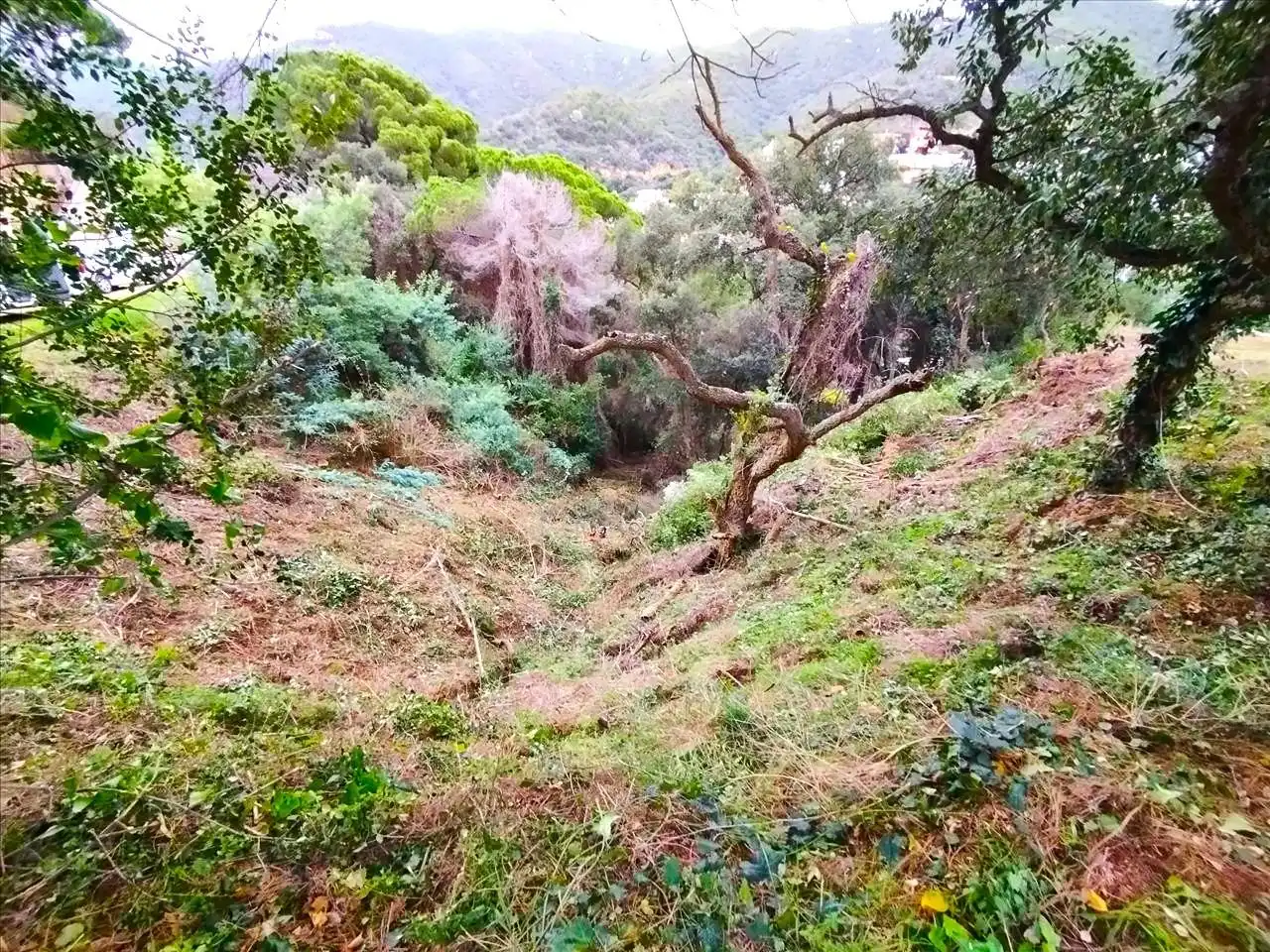 Residential land for sale in Urbanizacion de Rosamar, imagen 16