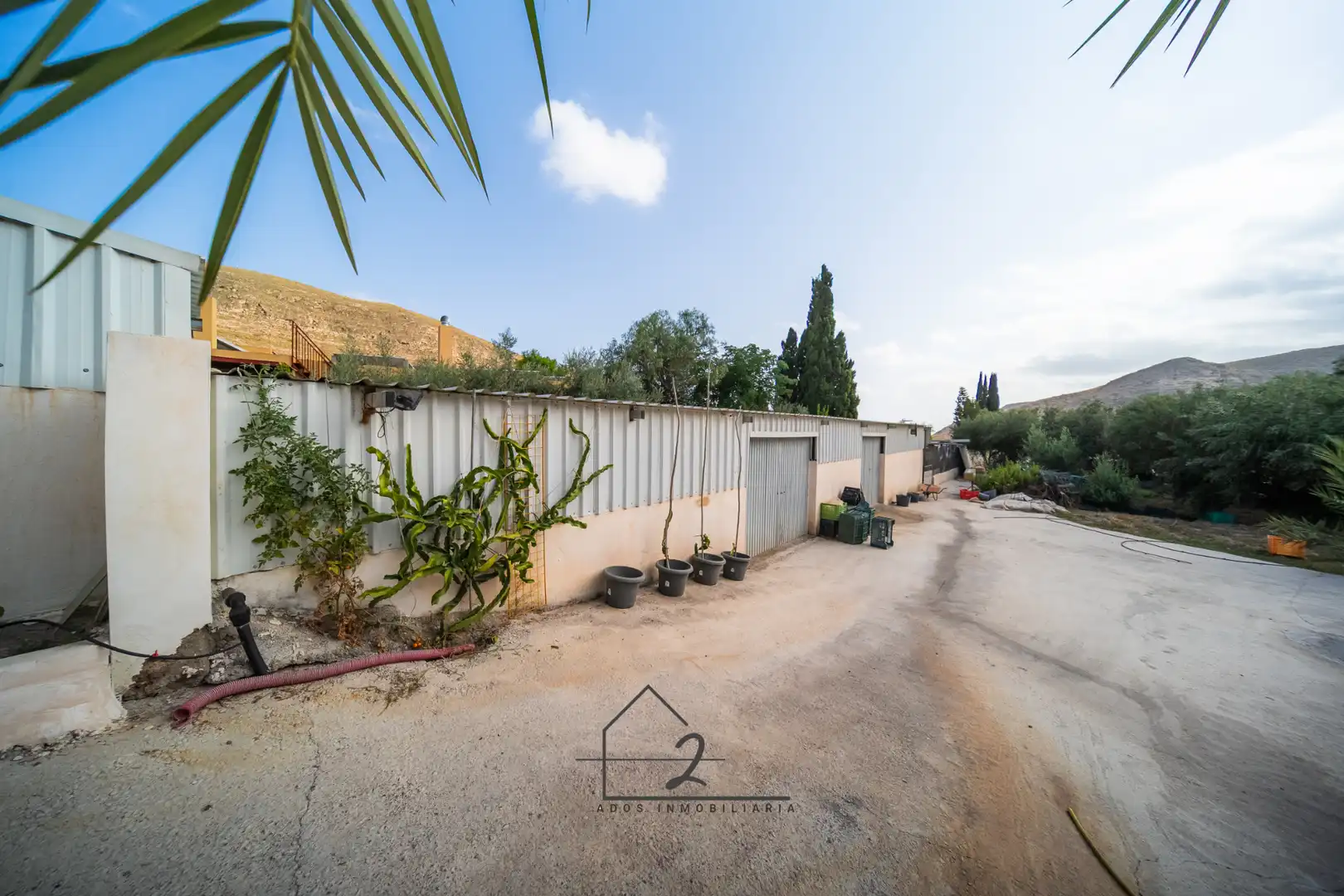 Exterior view of Land for sale in Vícar
