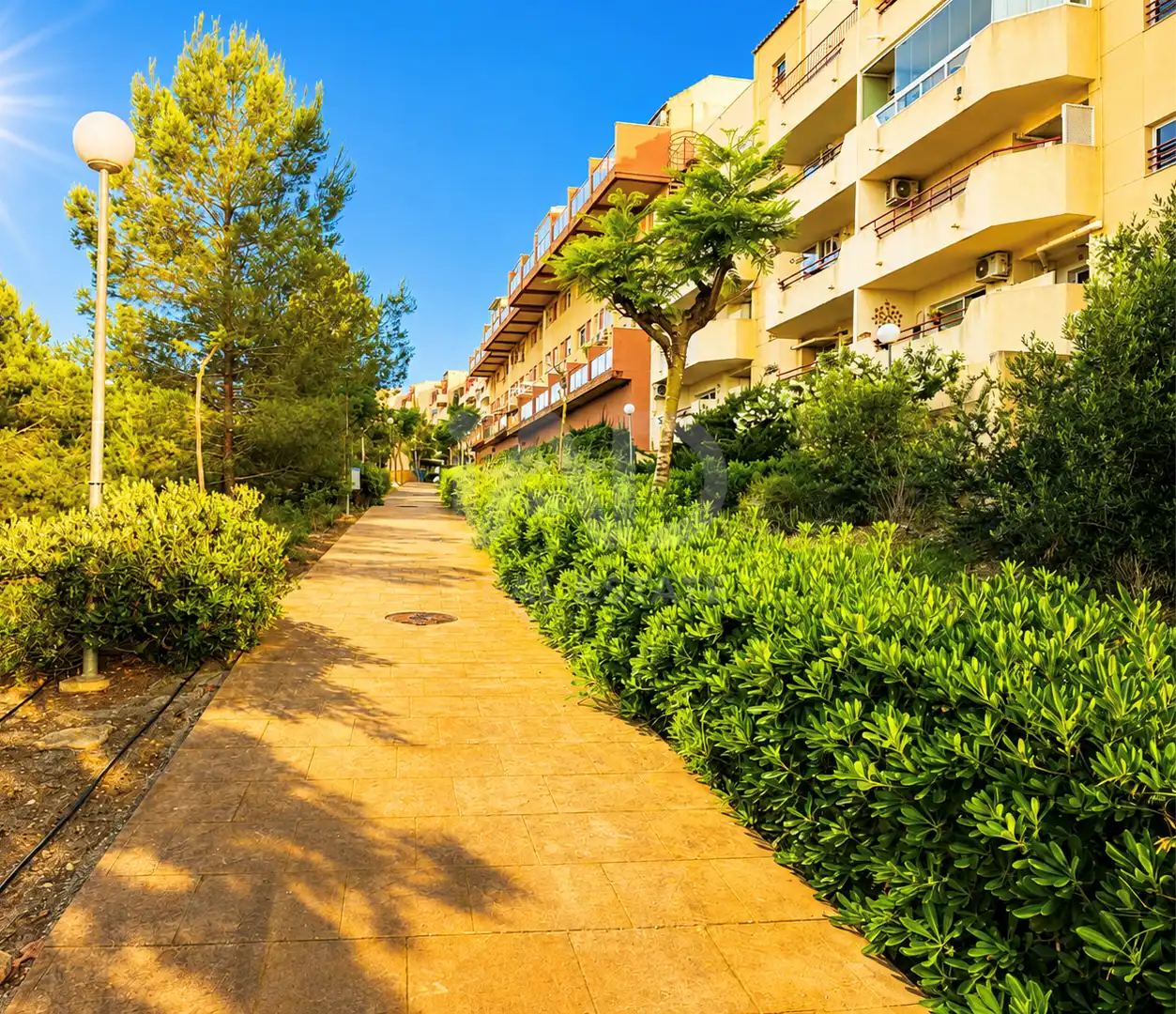 Piso con piscina en venta en Altorreal - El Chorrico, imagen 19