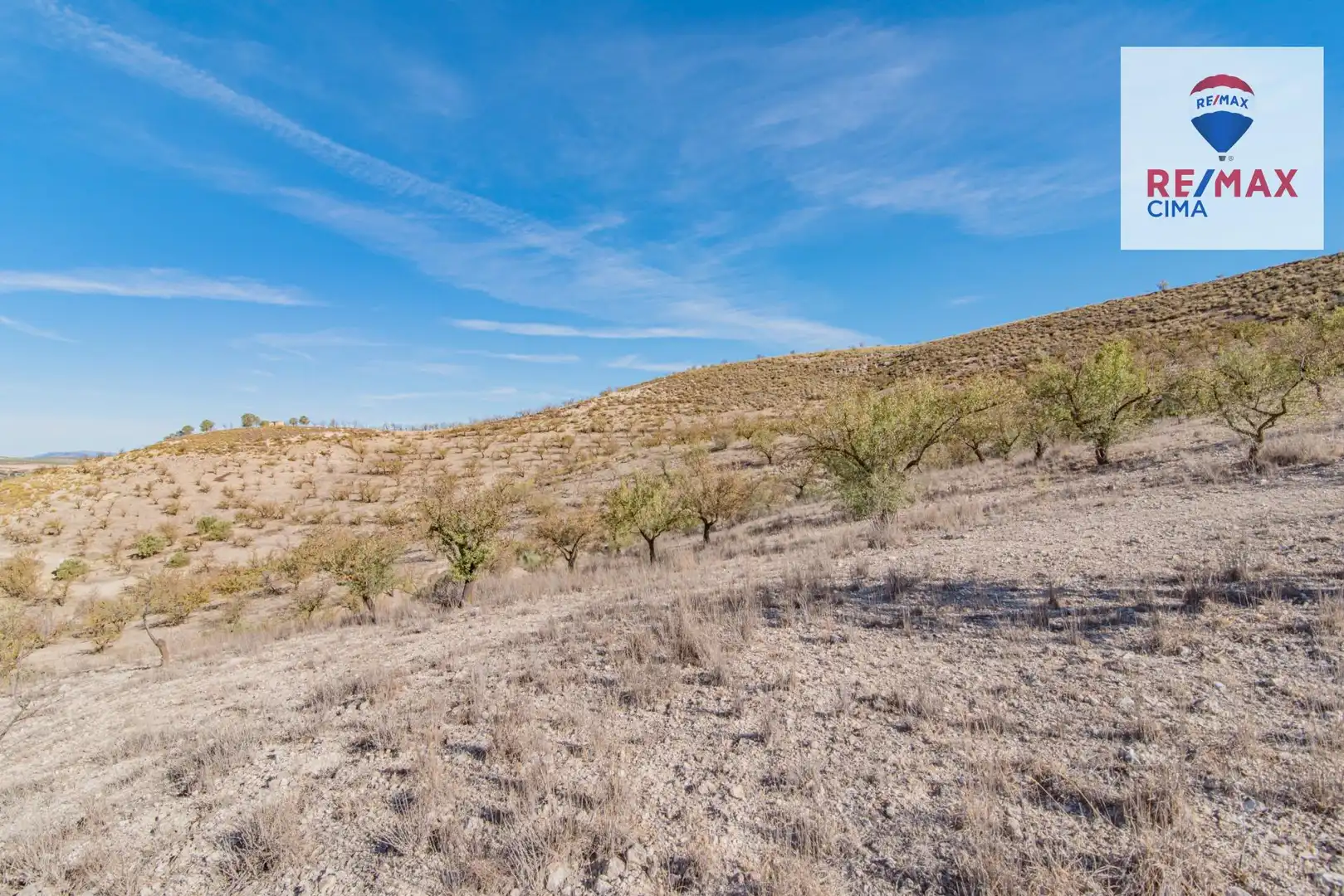 Terreno en venta en Santa Cruz del Comercio