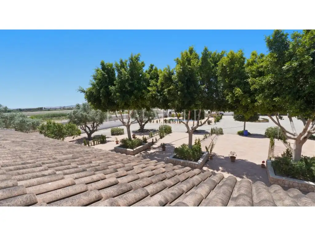Maison avec jardin à vendre à Dolores, imagen 178