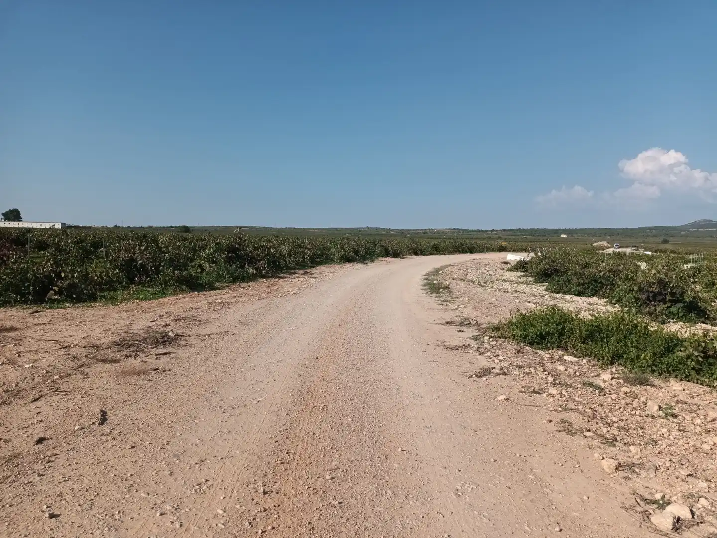 Wohnbaugrundstück zum Verkauf in Polígono 18. Parcela, imagen 5