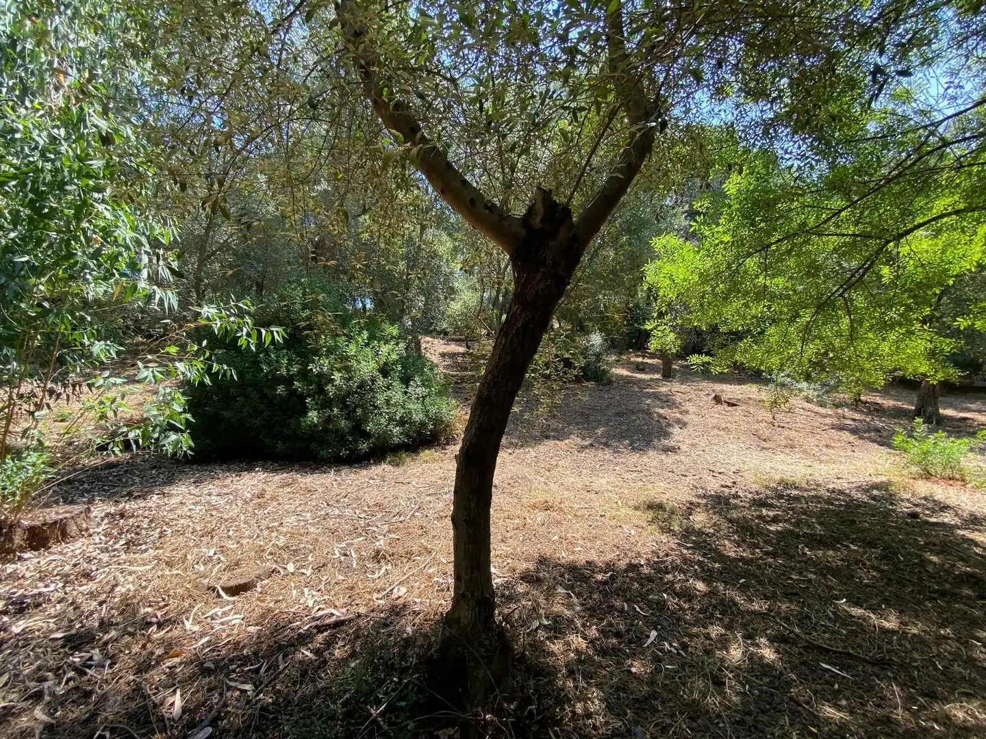 Casa o xalet en venda en Los Barrios amb Jardí privat, Terrassa i Traster