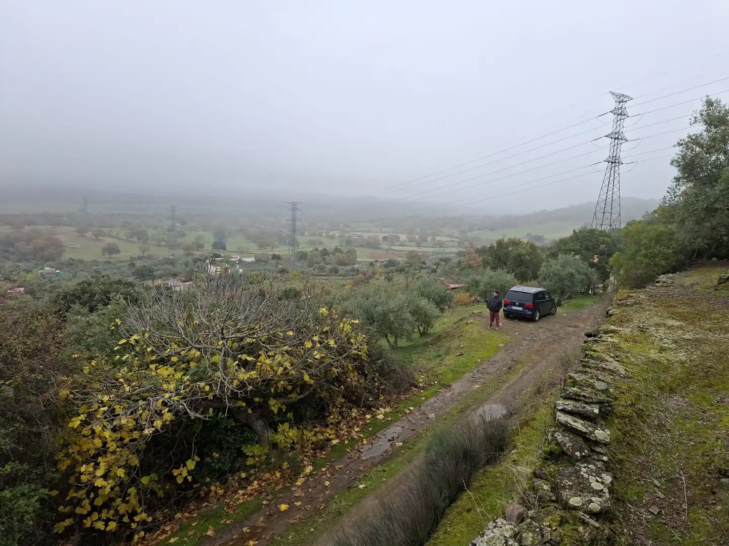 Terreni e lotti in vendita a Malpartida de Plasencia, imagen 9