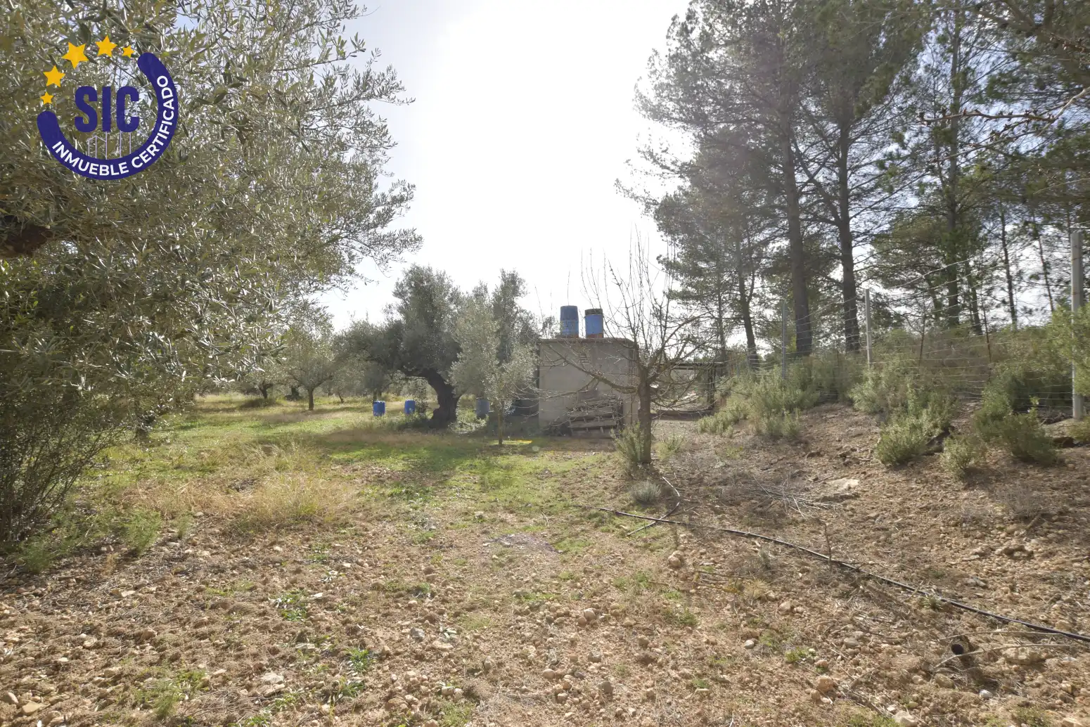 Land for sale in Jérica