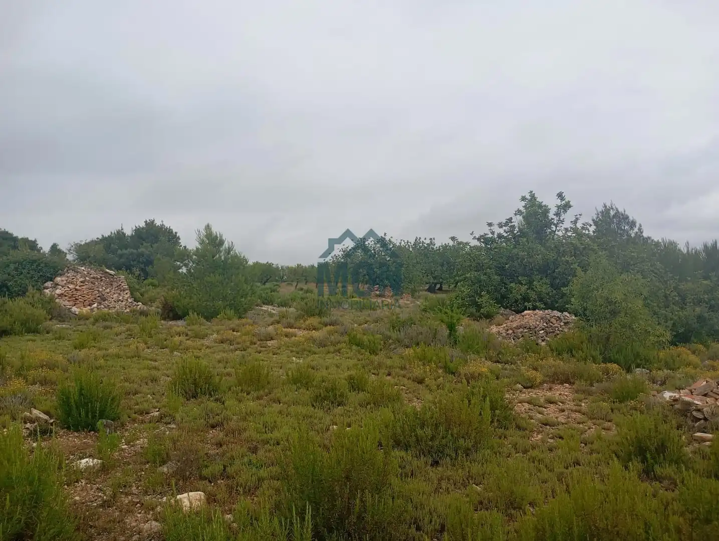 Terreno rustico in vendita a Buñol, imagen 20