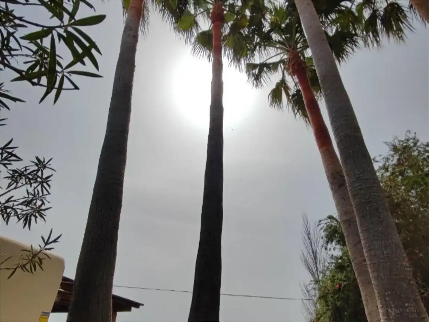 Vista exterior de Casa o chalet en venta en Sant Joan de Labritja con Aire acondicionado y Piscina