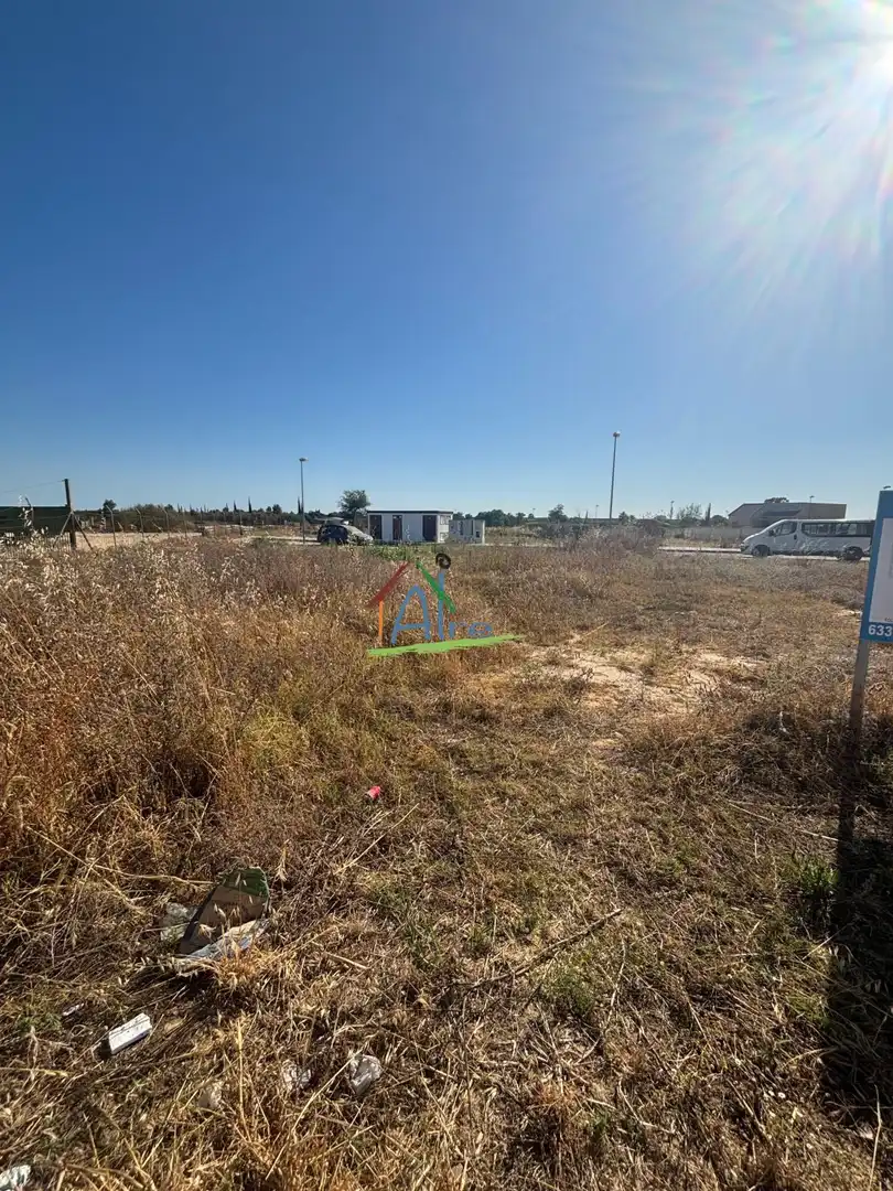 Lands and plots for sale in Almonte ciudad
