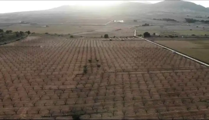 Finca rústica en venta en Yecla con Jardín privado