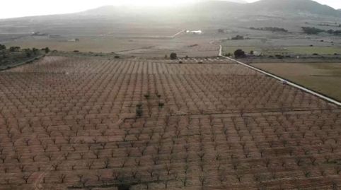 Foto 5 de Finca rústica en venda a Yecla, Murcia