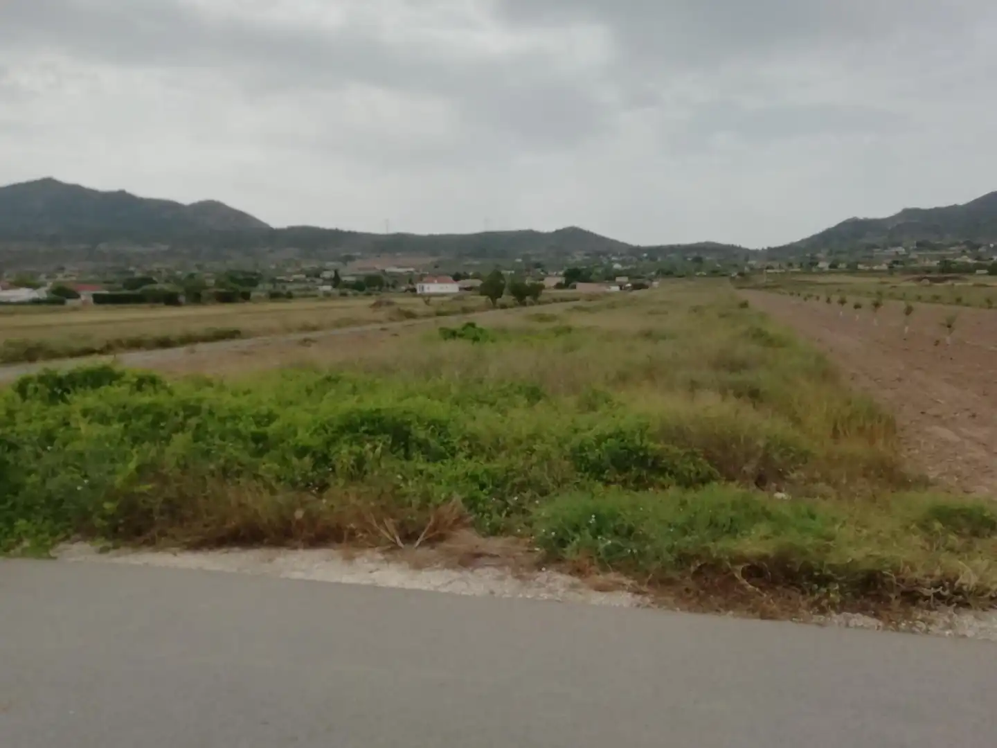 Terreno residenziale in vendita a Hondón de los Frailes, imagen 4