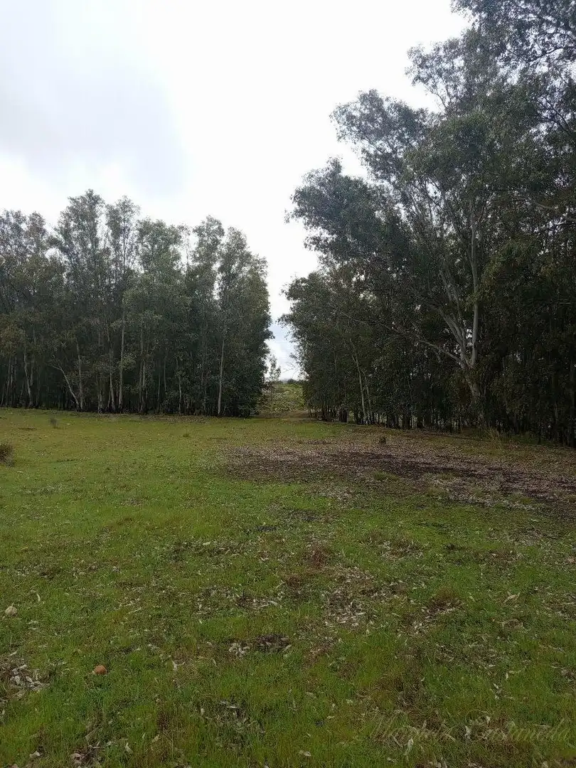 Finca rústica en venda a Oeste