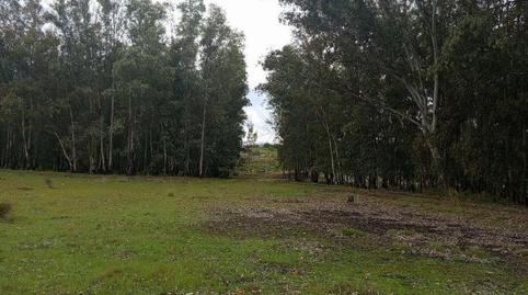 Photo 3 of Country house for sale in Oeste, Badajoz