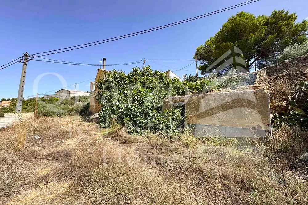 House with garden for sale in Calle Proyecto Número 3, imagen 2