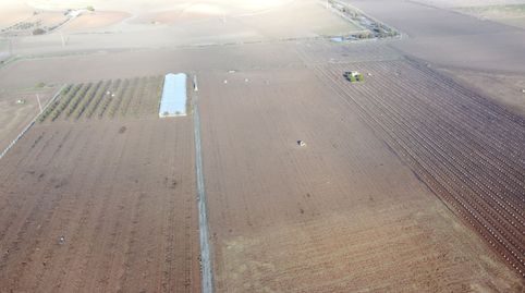 Finca Rúst. en venta en Crta. Las Cabezas., immagine 4