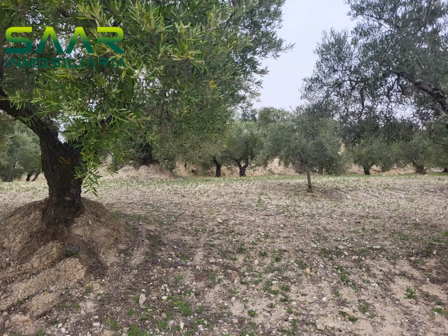Rustikales Grundstück zum Verkauf in Güevéjar