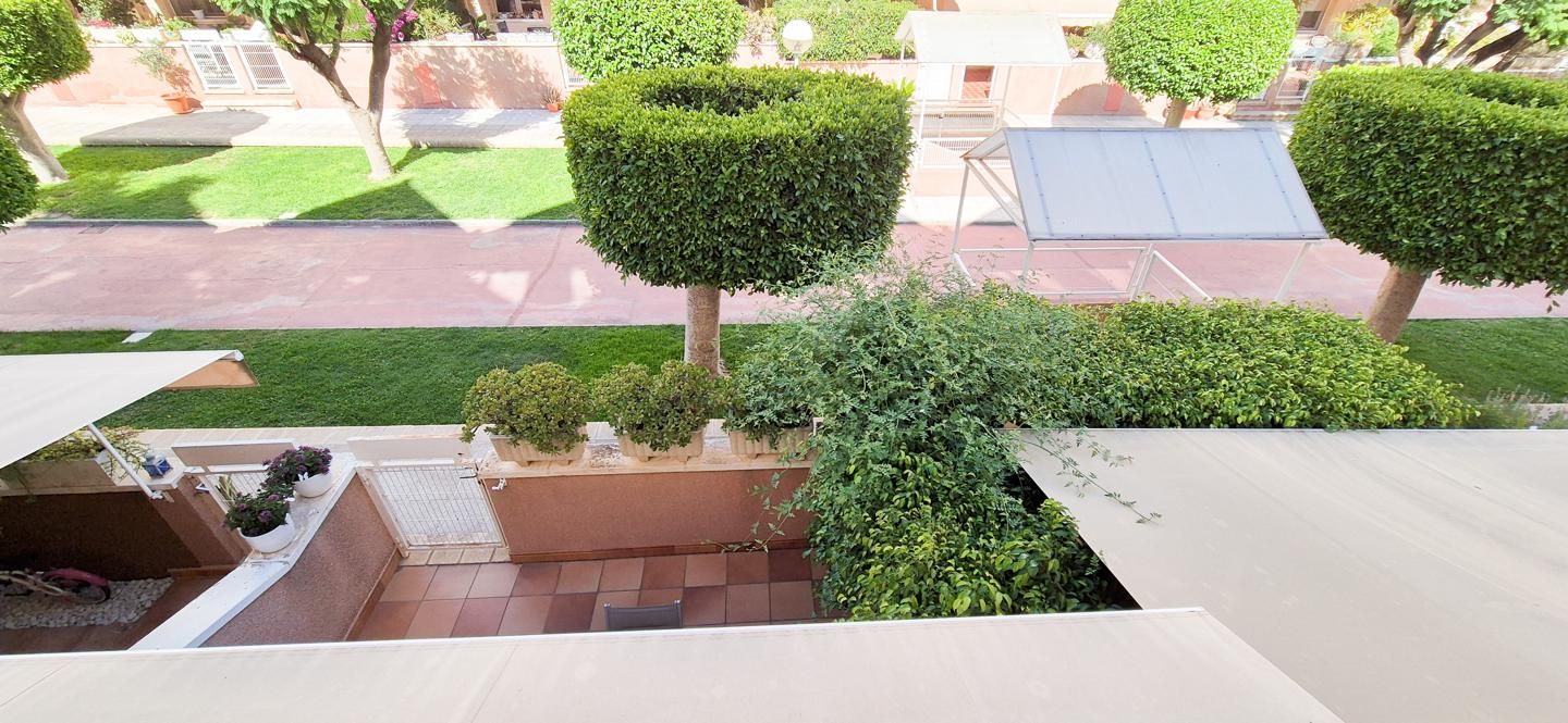 Garden of House or chalet for sale in Elche / Elx  with Terrace, Storage room and Balcony