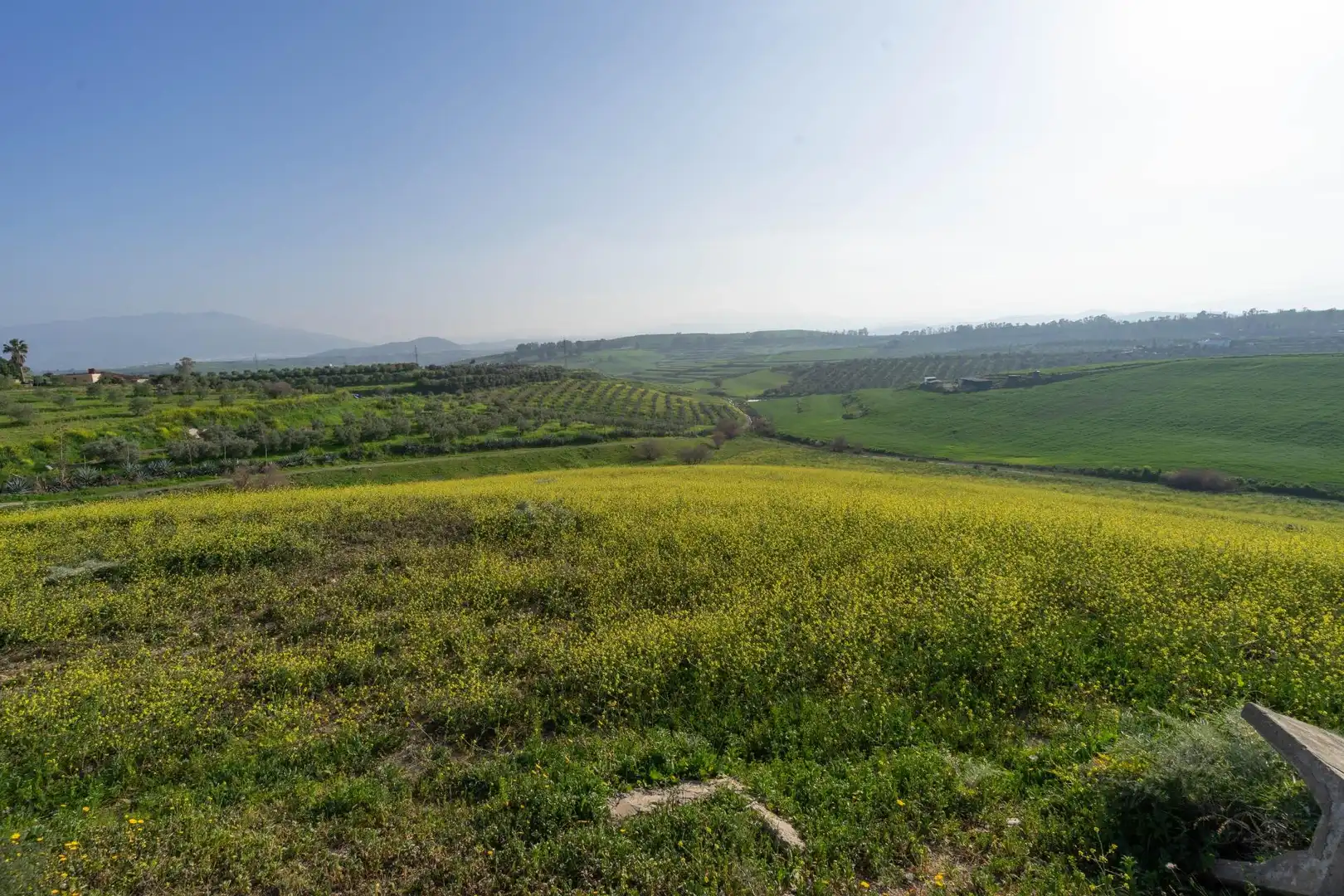 Rural land for sale in Casalpalma - Fahala, imagen 6