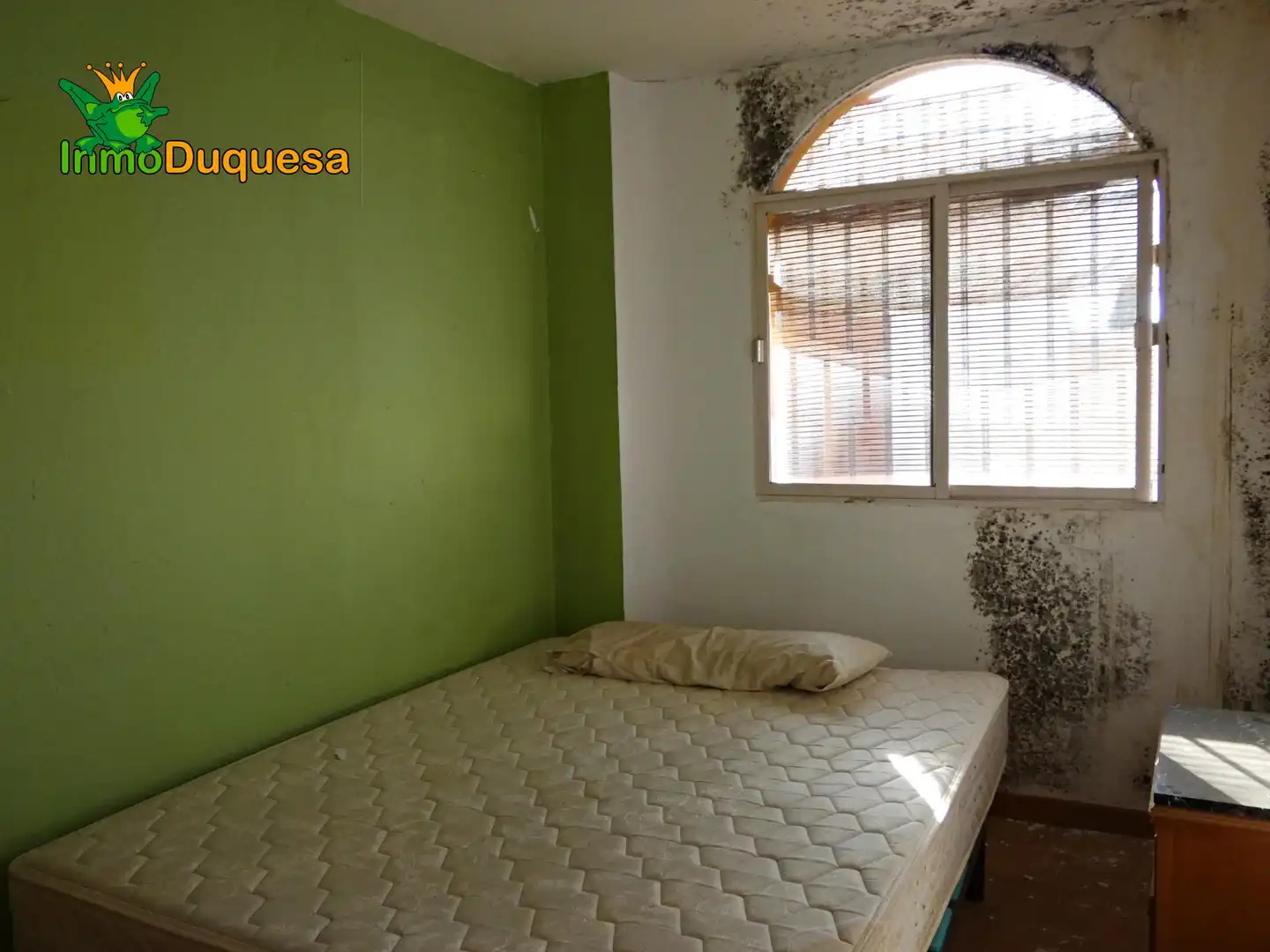 Inmuebles singulares en venta en Centro, imagen 19