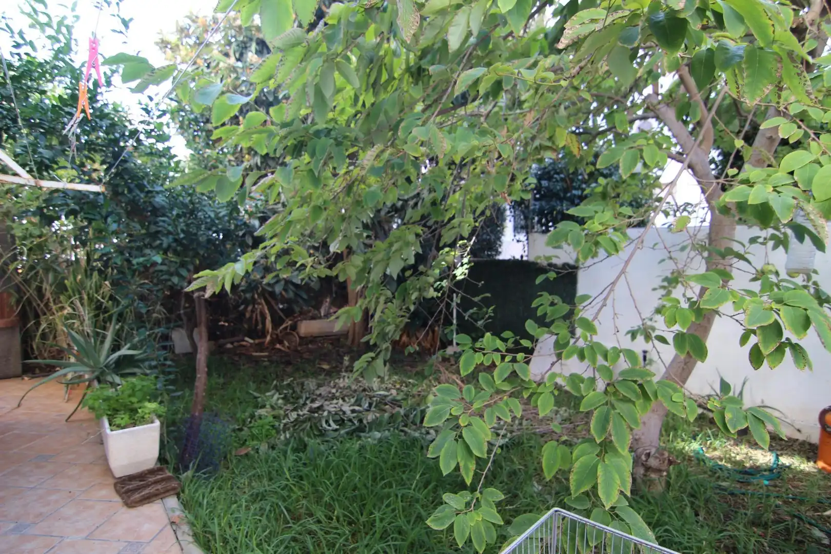 Villa con giardino in vendita a Benalmádena pueblo, imagen 2