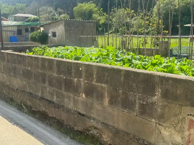 Casa a schiera con giardino in vendita a Glorieta Ferreira, imagen 71