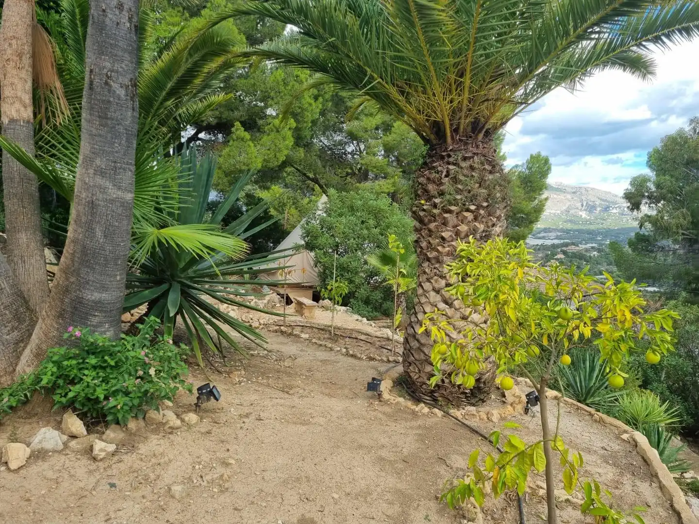 Jardín de Casa o chalet en venta en La Nucia con Aire acondicionado, Calefacción y Jardín privado