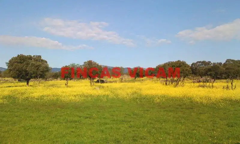 Land for sale in Alcalá del Obispo