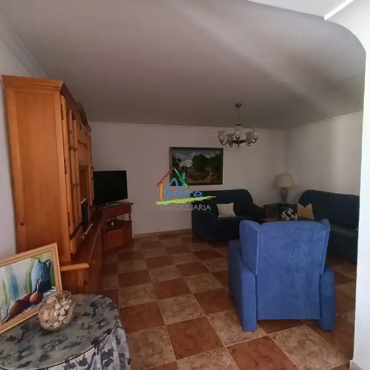 Sala d'estar de Casa o xalet en venda en Almonte amb Terrassa