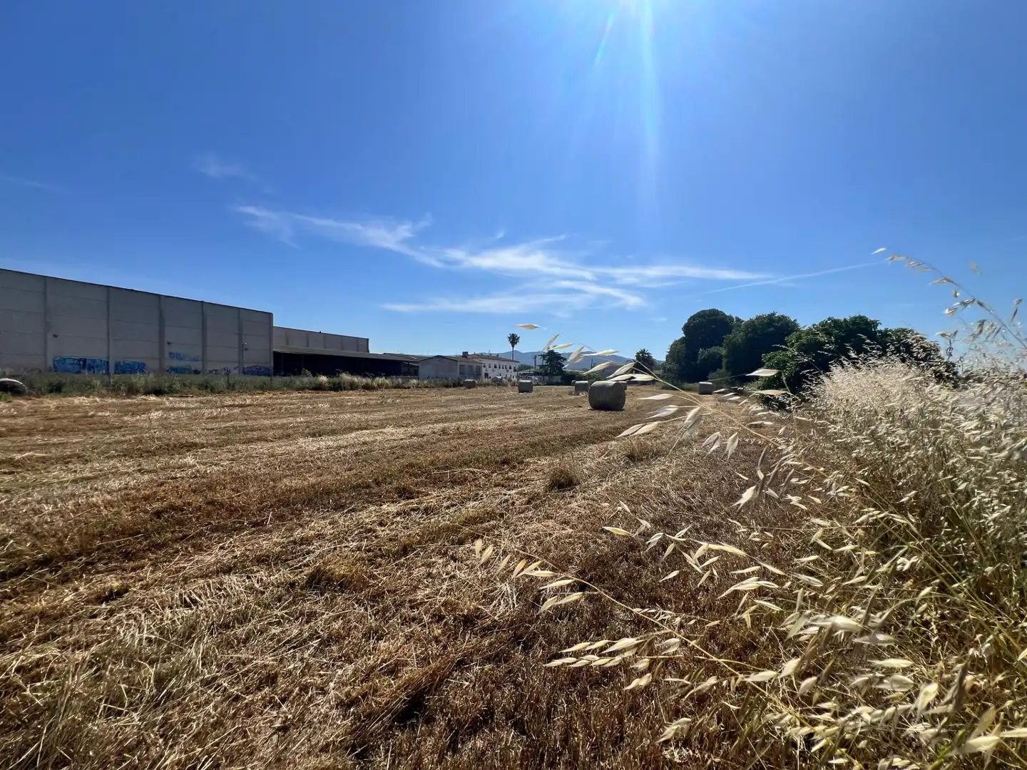 Rural land for sale in Carretera de València 5, imagen 8