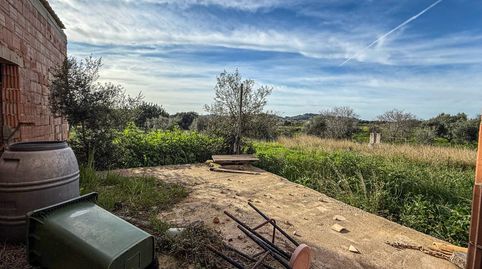 FINCA RUSTICA EN SELVA, immagine 5