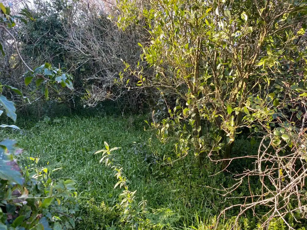 Finca rústica en venta en Mazaricos