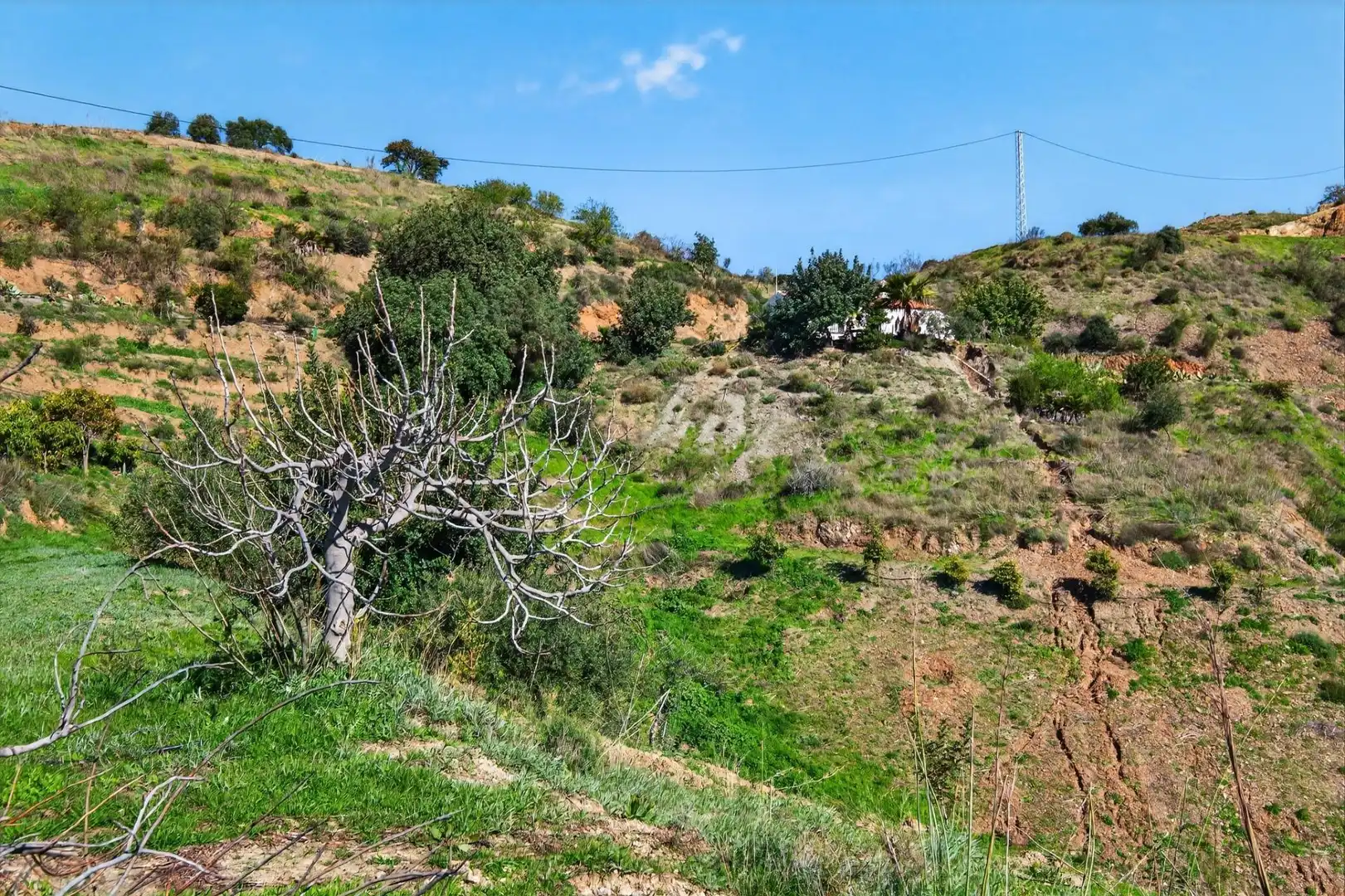 Residencial en venta en Cártama